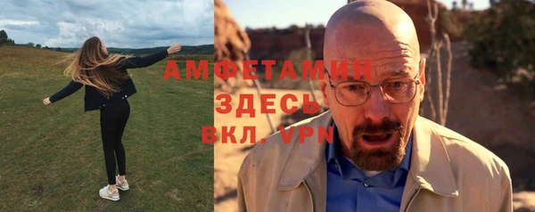шишки Нязепетровск