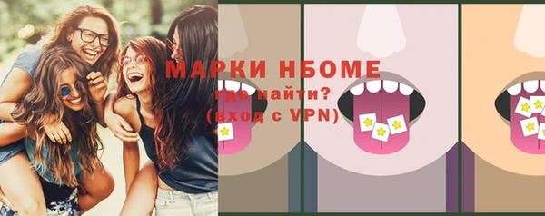 шишки Нязепетровск
