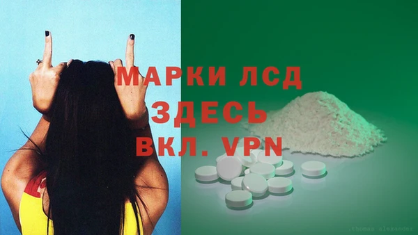 шишки Нязепетровск