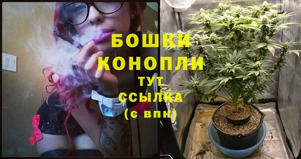 шишки Нязепетровск
