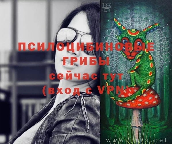 шишки Нязепетровск
