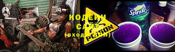 шишки Нязепетровск