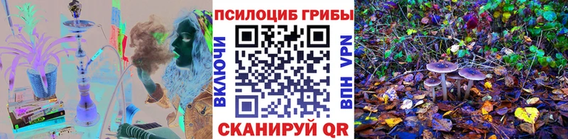 Псилоцибиновые грибы прущие грибы  что такое   Бугуруслан 