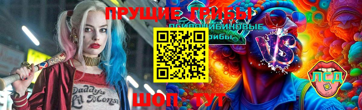 Псилоцибиновые грибы Psilocybine cubensis  Вход с VPN  Бугуруслан 