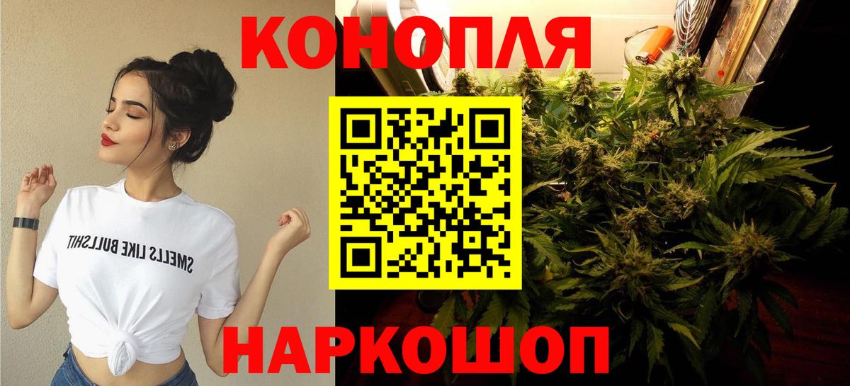 Конопля сатива  Бошки марихуана планчик  Конопля Bruce Banner  Вход с VPN  Бугуруслан  Канабис конопля 